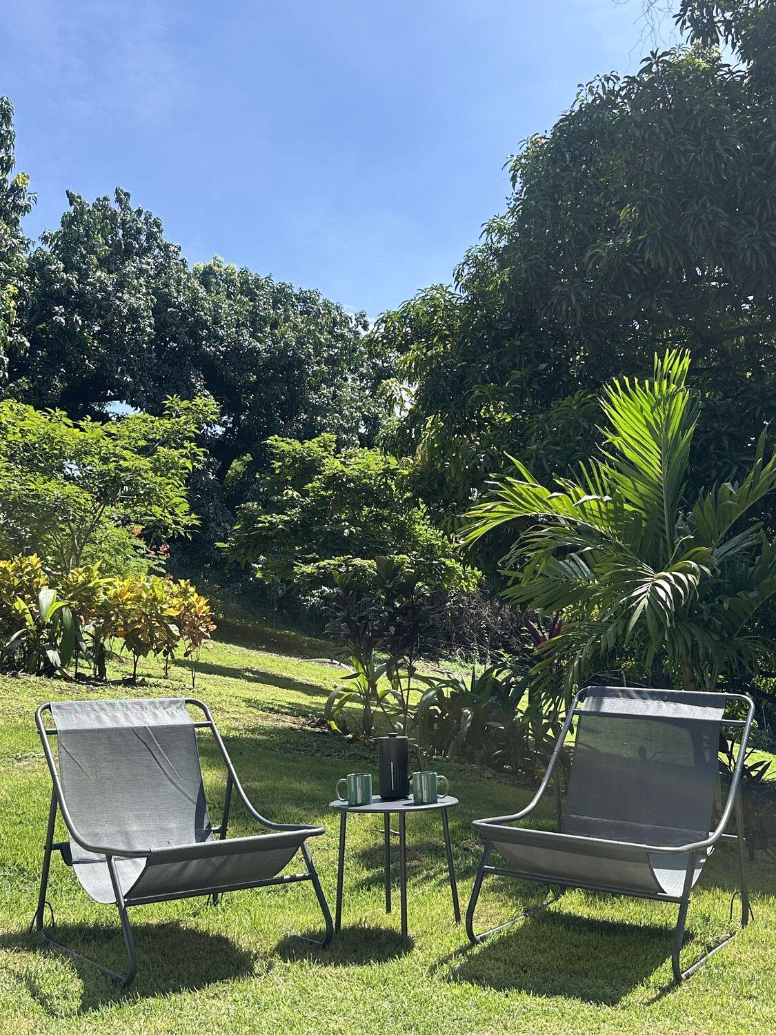 Two cups of coffee on a small table between garden chairs, under palms