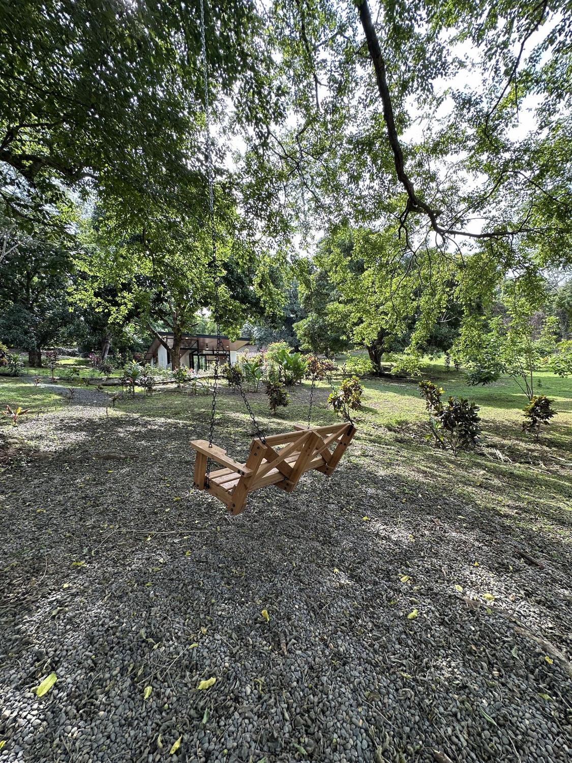 Wooden swing under the trees in the garden