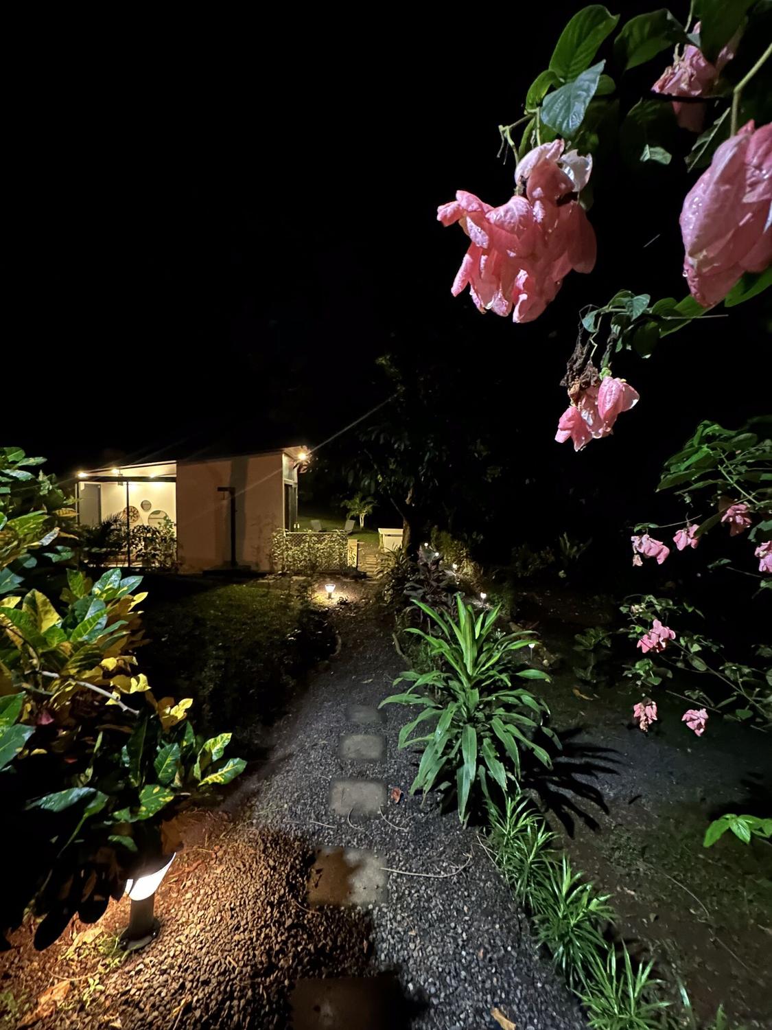 Lit garden path at night
