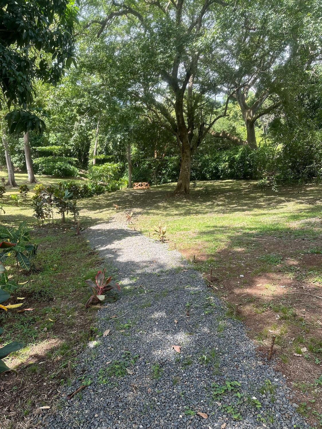 Gravel path through the gardens